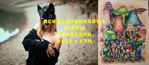 дмт Снежногорск