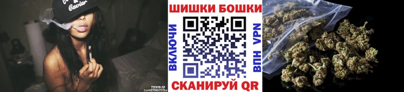 Шишки марихуана сатива  как найти наркотики  Дзержинский 